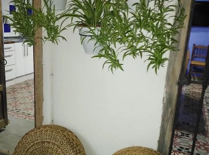 Tia Paulina * Calmarza